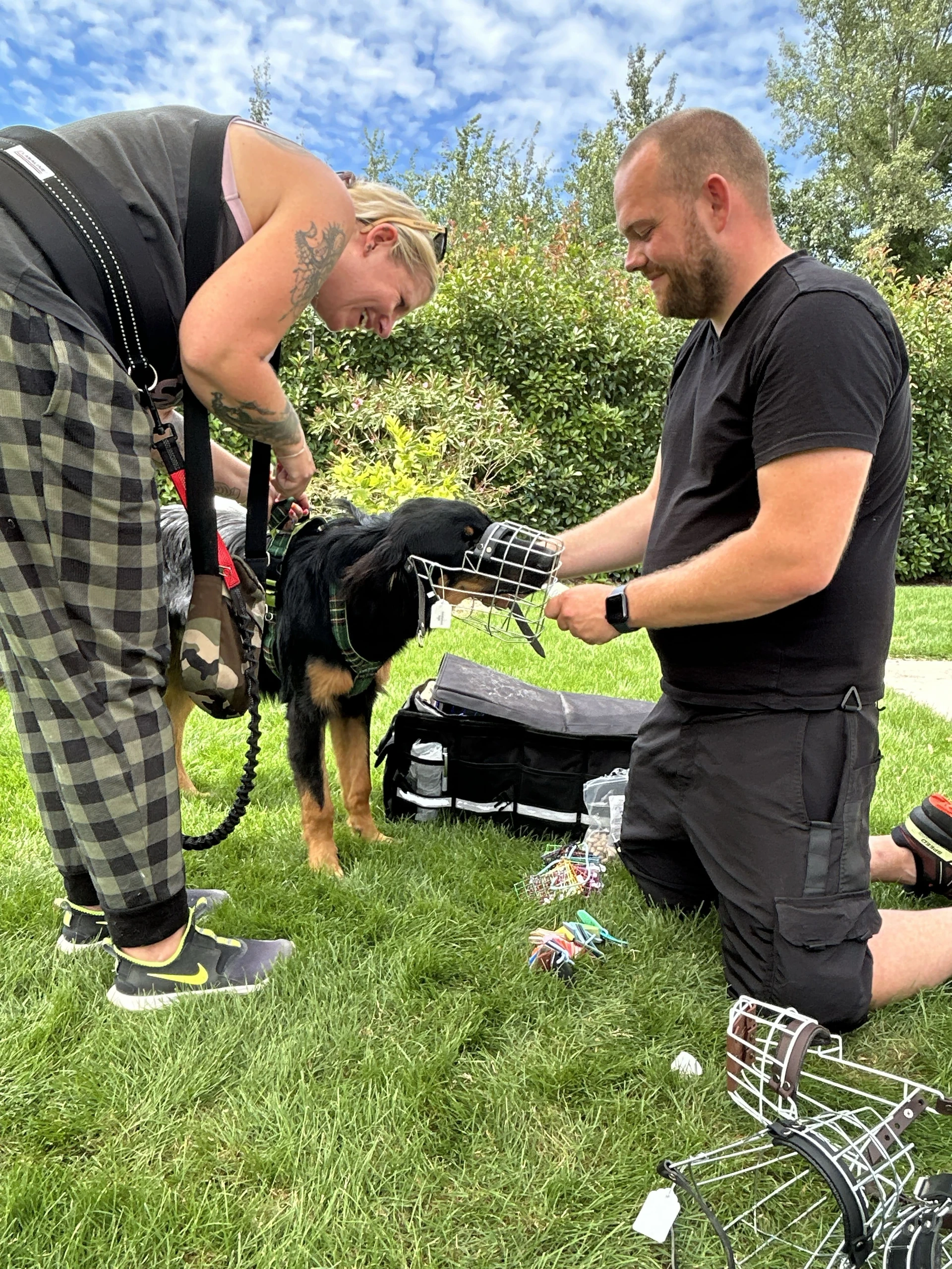 Endlich der perfekte Maulkorb für Ihren Hund. Kostenlose Maulkorbanprobe