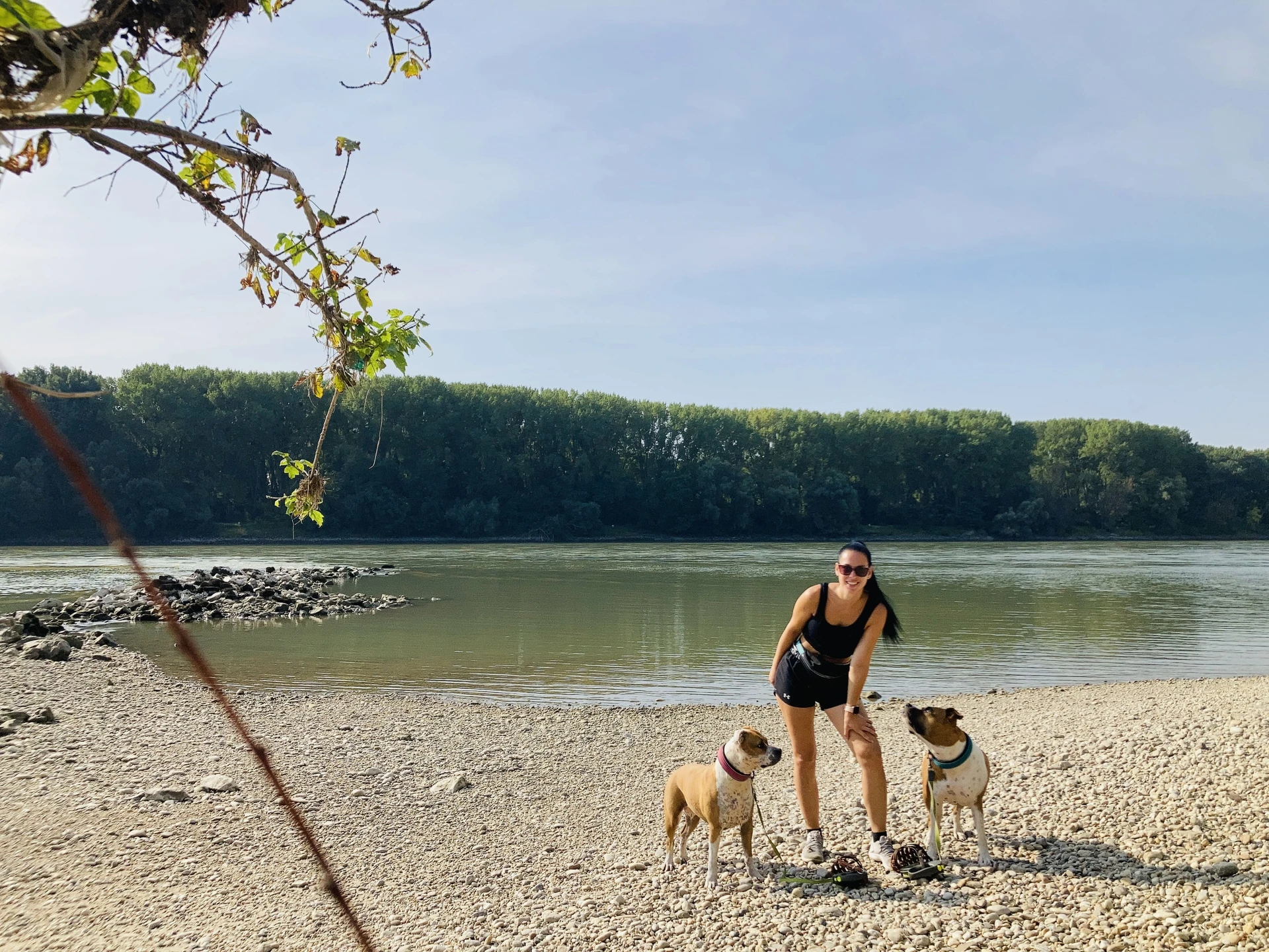 Gemeinsam mit Hunden die Natur entdecken