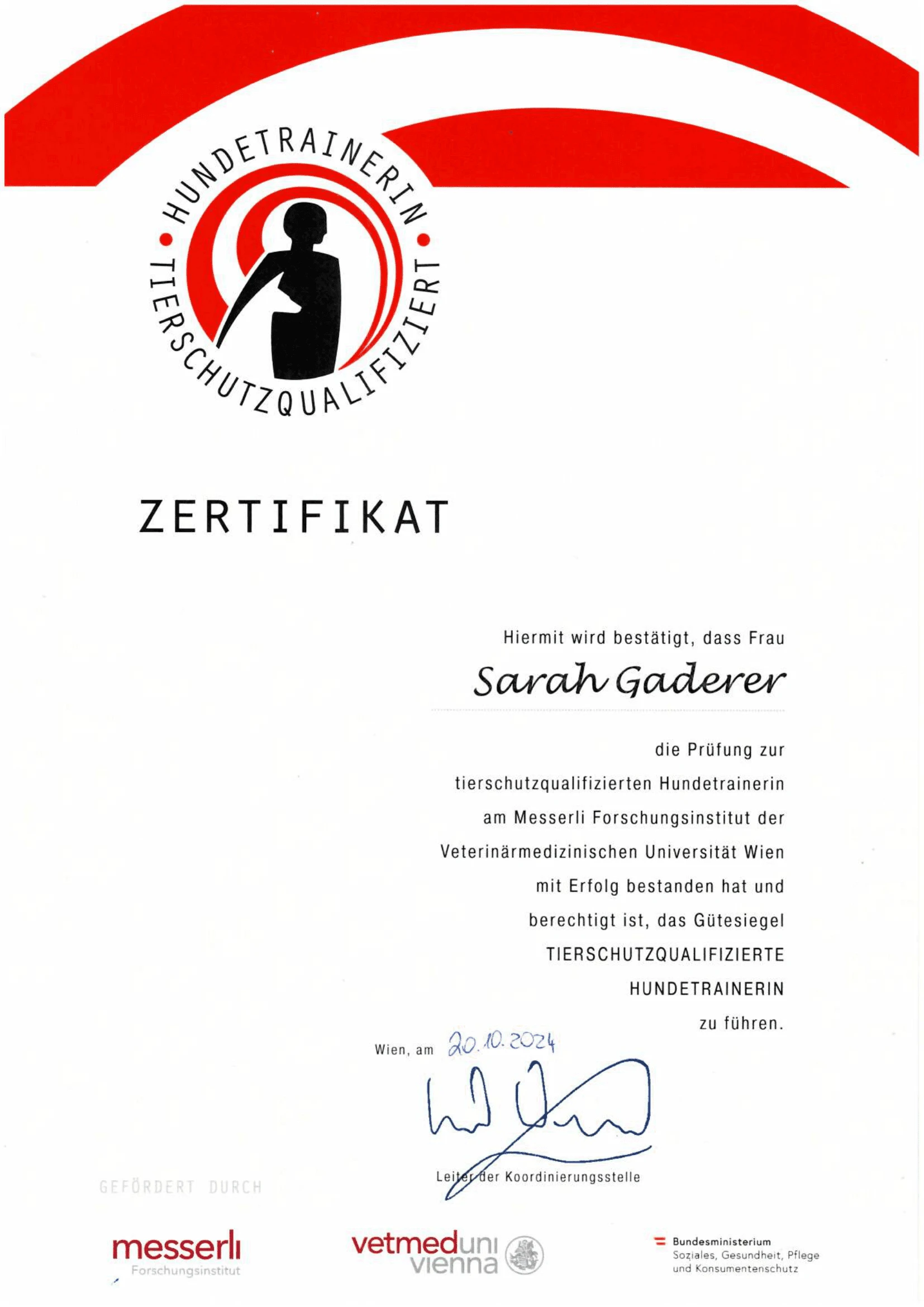Vergrößerte Urkunde