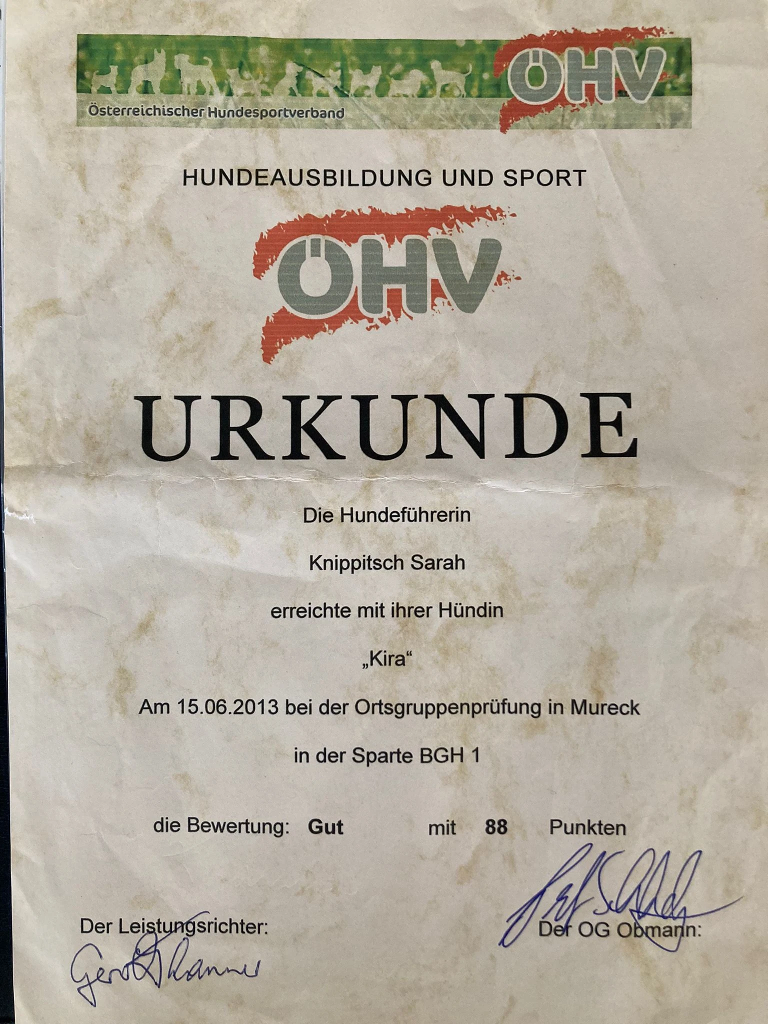 Urkunde 13