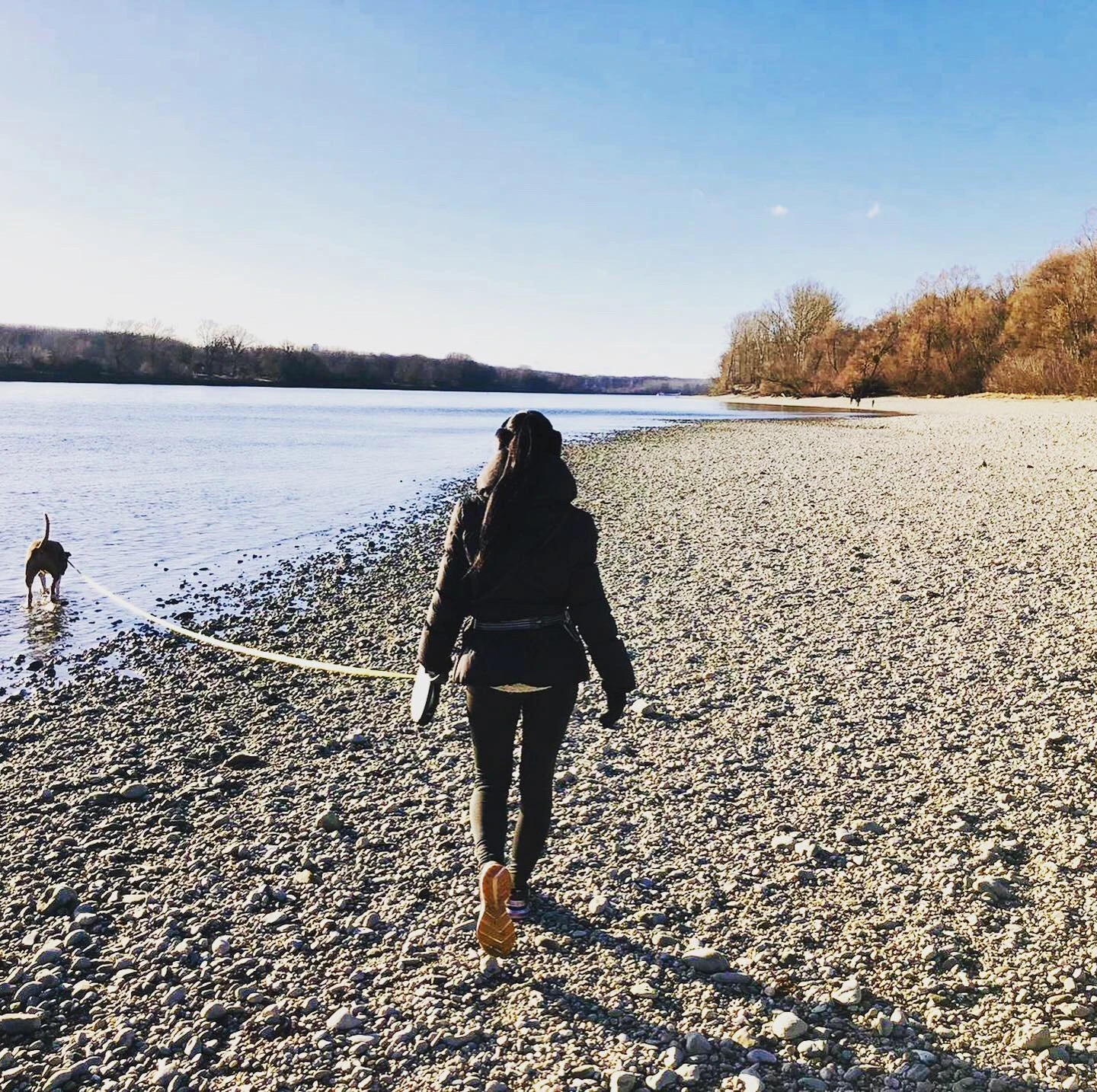 Hundewanderung an der Donau
