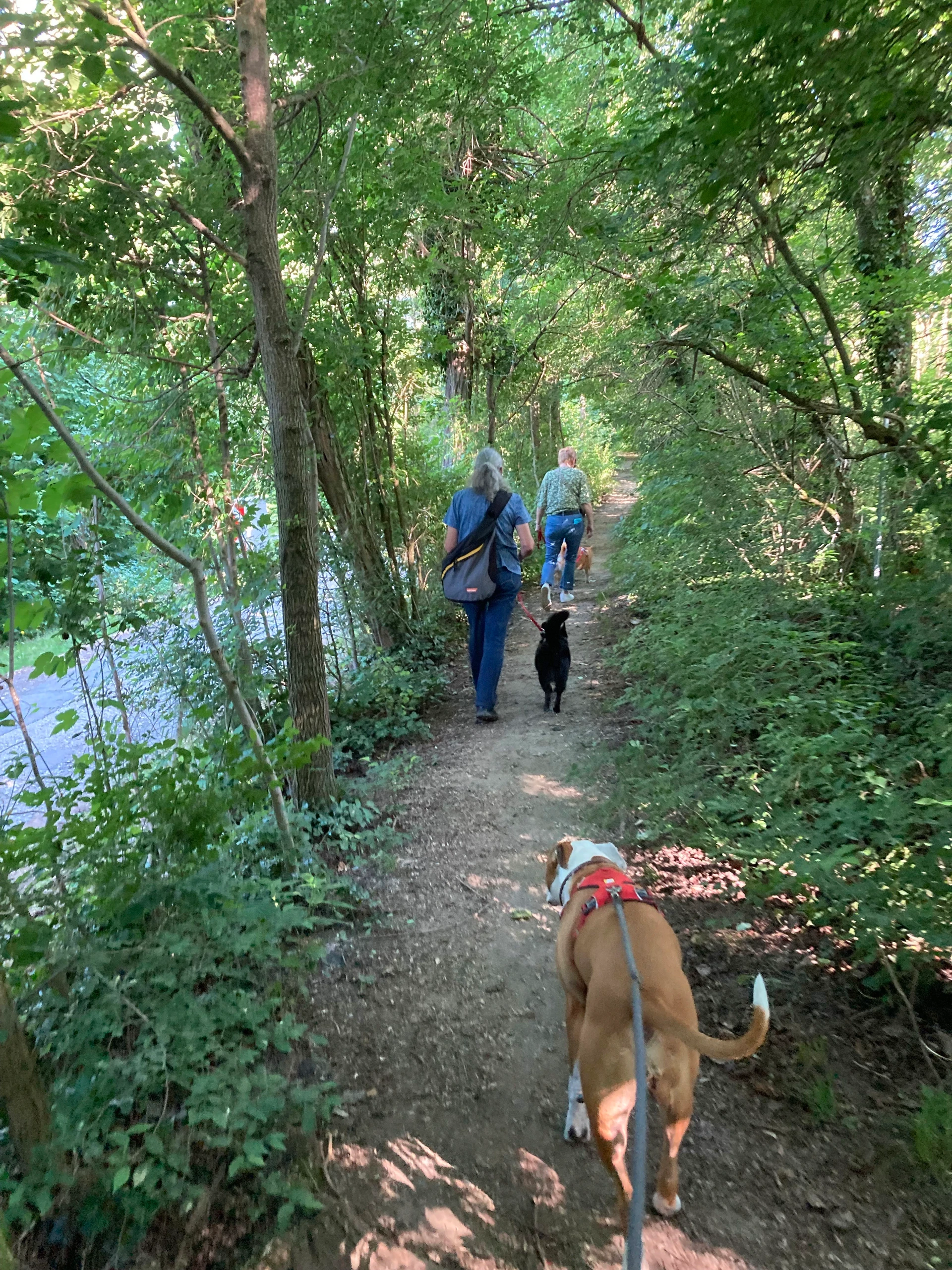 Mit meinem Hund an meiner Seite ist kein Weg zu weit!