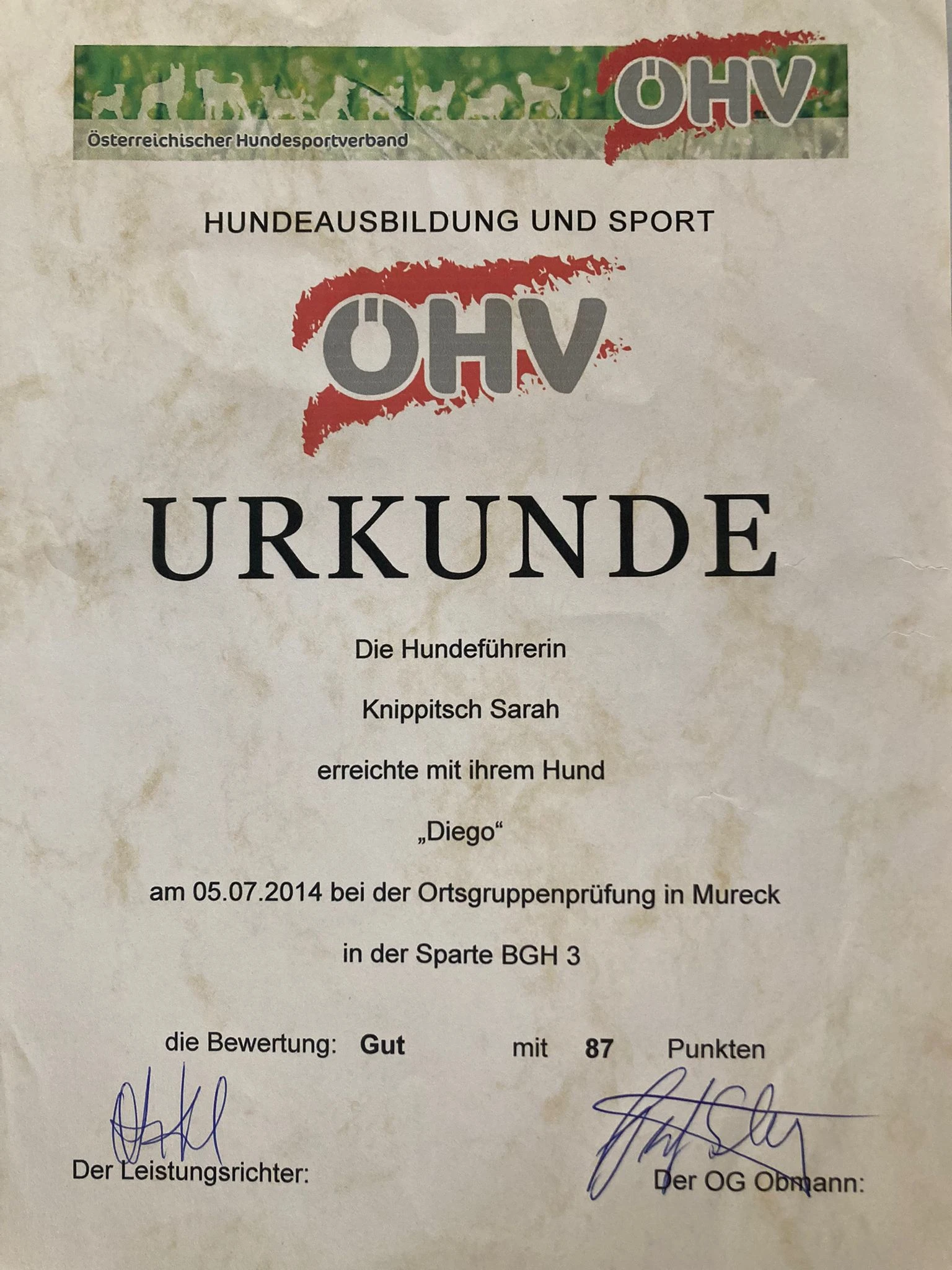 Urkunde 8