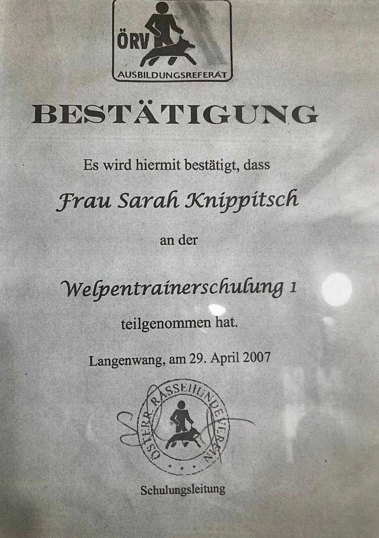 Urkunde 6
